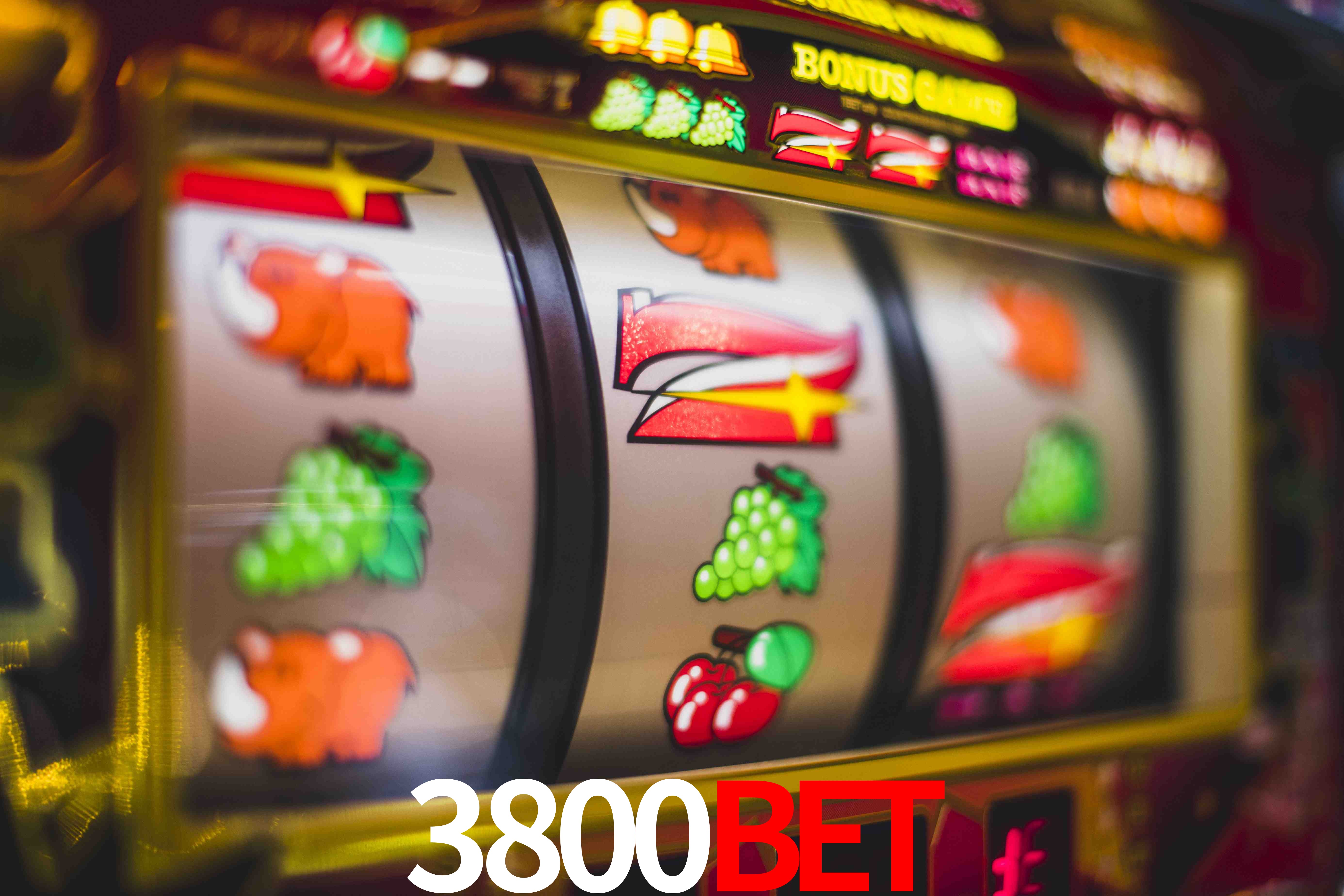 Quick Registration 3800bet