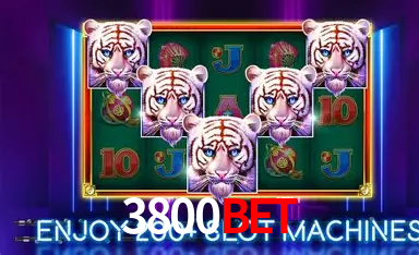 3800bet,3800bet login